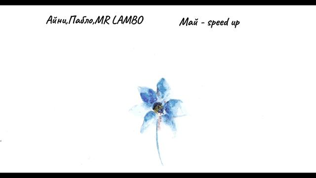 Айни, Пабло, MR LAMBO-|speed Up|