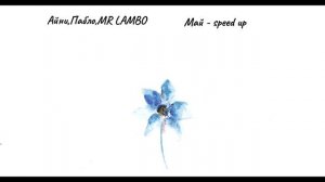 Айни, Пабло, MR LAMBO-|speed up|