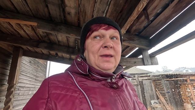 Зима пришла... Молодцы цыплята, порадовали... смотреть онлайн