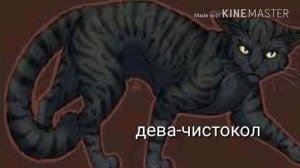 Гороскоп по знаку зодиака-коты воители