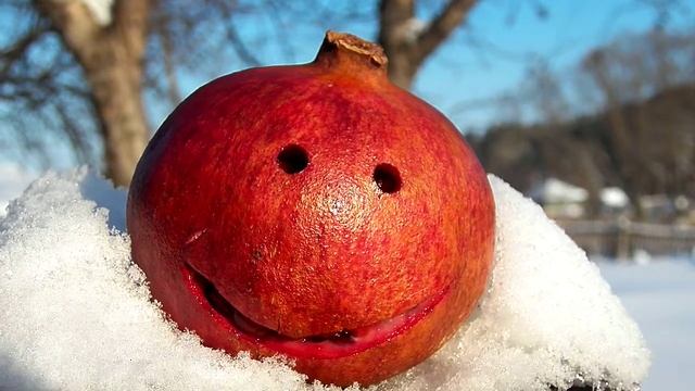 С ДР АНТОН ОТ ГРАНАТЫЧА смотреть онлайн