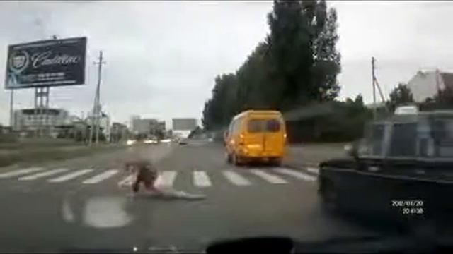 Самые смешные новые приколы с пьяными пешеходами смотреть онлайн
