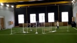 соревнования по хоббихорсингу - видео с моим участием .