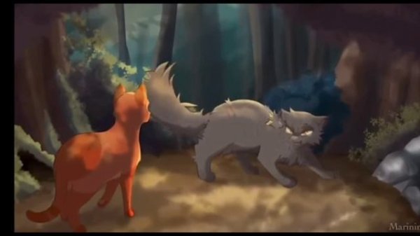 Warrior cats