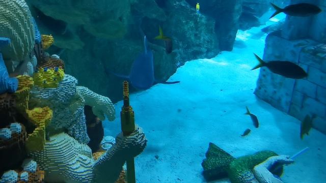 Подводный мир в  Legoland Dubai, Дубай