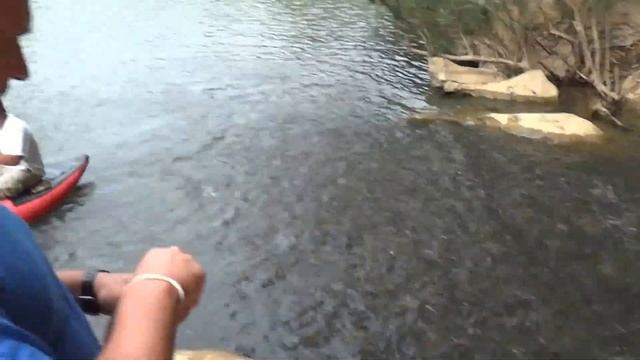 Рыба в реке, Као сок, Тайланд смотреть онлайн