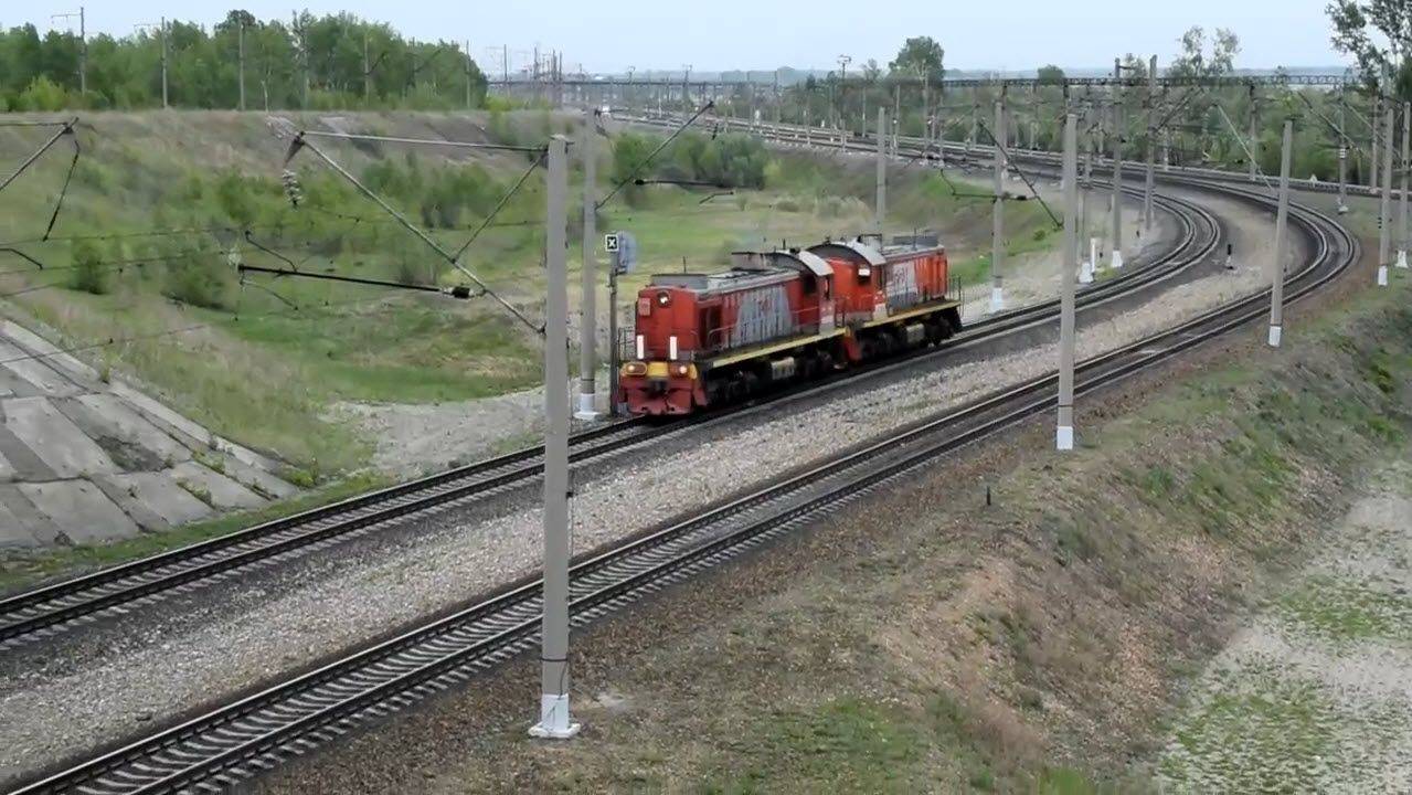 Тепловозы ТЭМ2-6982 и ТЭМ2-6217 и скворцы в светофоре.