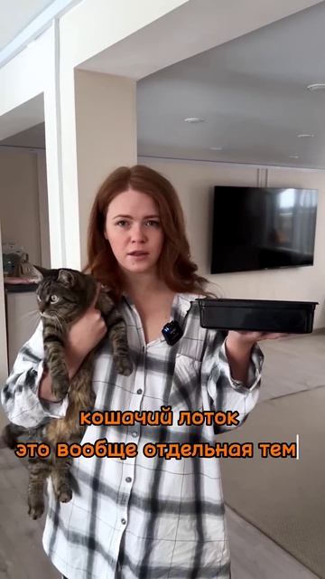 ВРЕМЯ ЗАВОДИТЬ КУР В КВАРТИРЕ ВМЕСТО КОТА смотреть онлайн