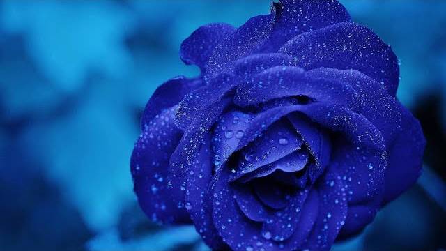 Музыка для сна, Релакс, Спокойная музыка слушать