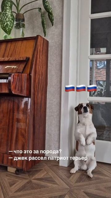 Доброе утро! 02.05. 2025. смотреть онлайн