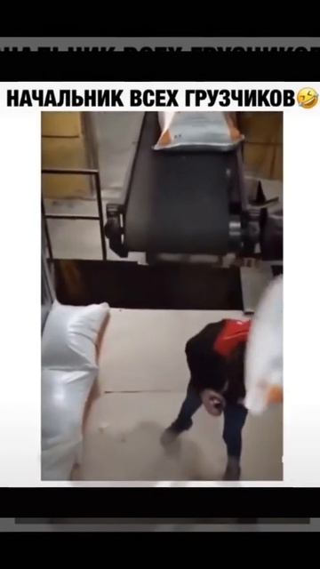 Начальник Всех Грузчиков | приколы от @mona_makarona | Тик Ток #shorts смотреть онлайн