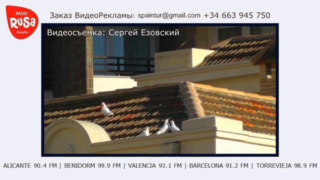 Новости Русского Радио. Заказ Рекламы смотреть онлайн
