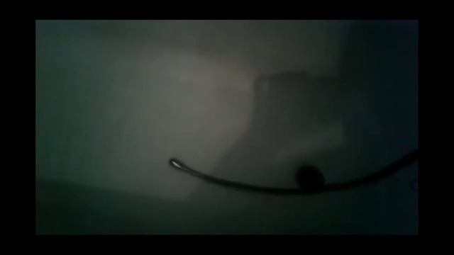 Ахаххаа я смеялся до слез🤣🤣🤣Лучшие приколы топ 3 смотреть онлайн