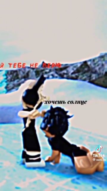 11 июня 2024 г.