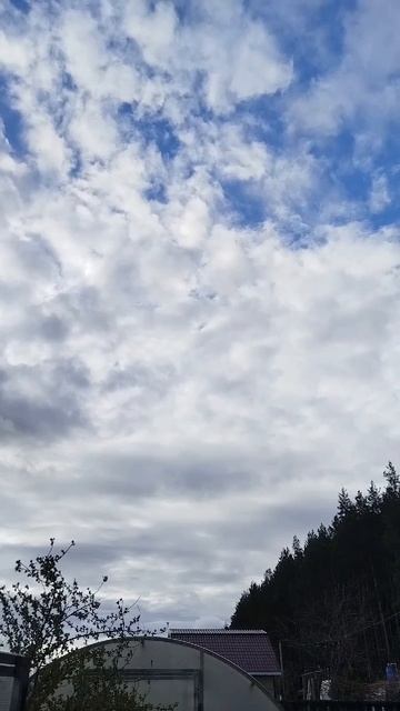 И вновь красота 😍 смотреть онлайн