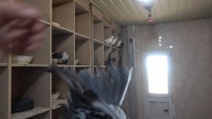 Голуби Агурбаша Н.Г. на Питомнике им. А.С.Брагина