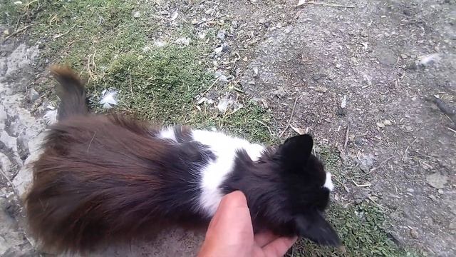 Машка всегда рядышком 😉 смотреть онлайн