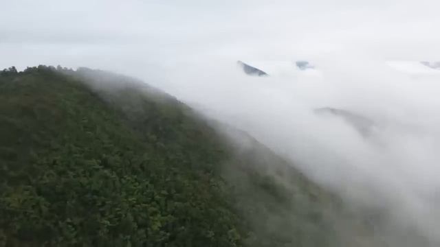 Бесы всегда сначала предупреждают Коны мироздания смотреть онлайн