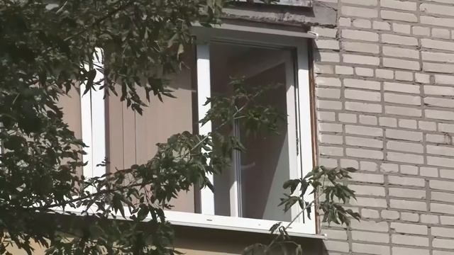 Налоговая напоминает: вовремя заплатите имущественные налоги смотреть онлайн