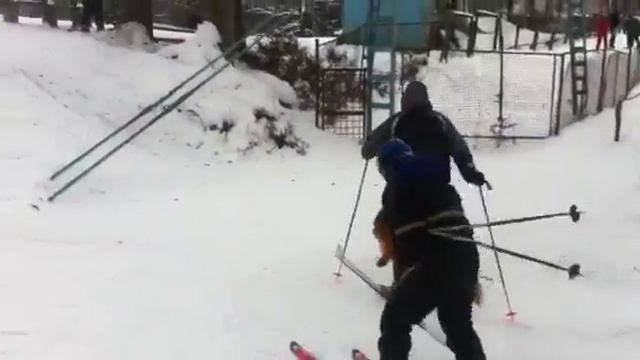 Пес-горнолыжник