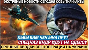Львы Ким Чен Ына. Отбиты четыре контратаки враг забрасывает фронт стаями дронов — обстановка на СВО