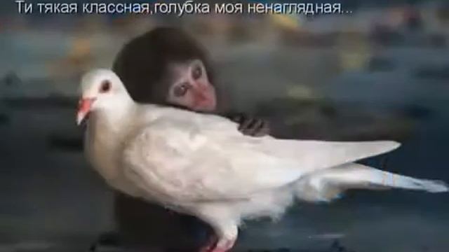 Улыбайтесь. Почаще смотреть онлайн