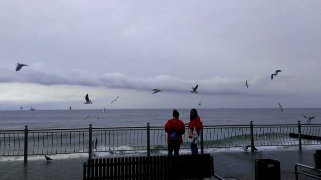 Пляж набережная в Зеленоградске Калининградская область смотреть онлайн