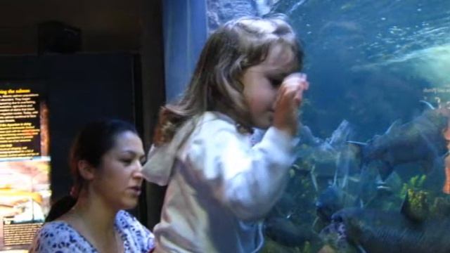 Маша и Катя, День 6, Аквариум, 30 августа 2011.wmv