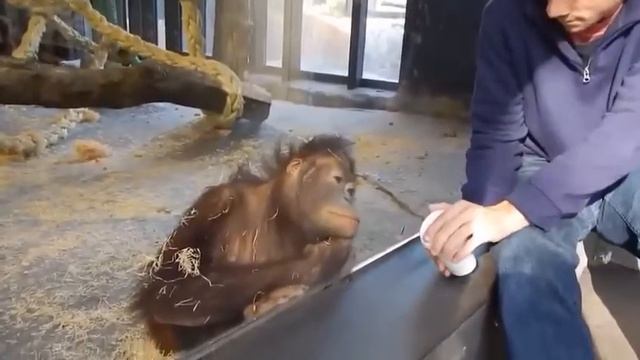 приколы когда прикольнулся над другом 🤣🤣😅😅😂😂🤣🤣🤣😂 смотреть онлайн