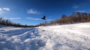 Рыбалка на озере. Сеть и удочки. День второй. 30.03.2022