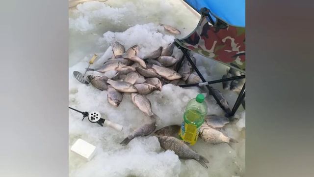 Сабынды и карась смотреть онлайн