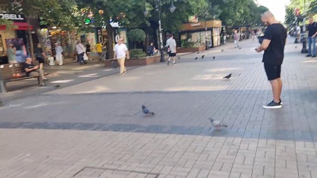 прогулка по бульвару Витоша (София, Болгария). туристическая улица, которая перекрыта всегда.) смотреть онлайн