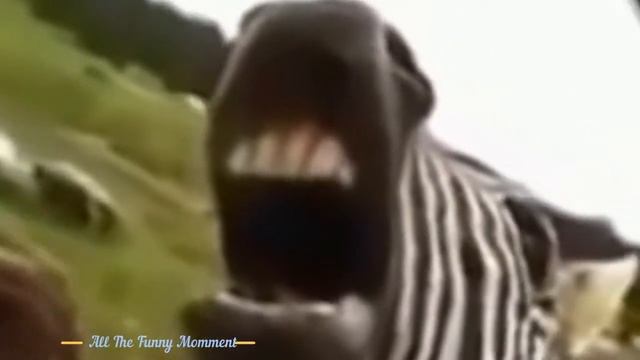 Приколы 2017: нарезка приколов. Часть 2 .Funny momments 2018: cutting jokes. Part 2. смотреть онлайн