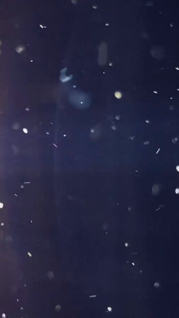 Примета которая пригодится в жизни в ночь 31