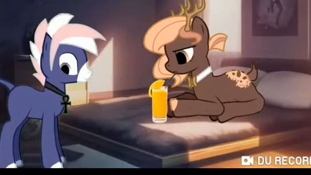 Пони прикол субота утро смотреть онлайн