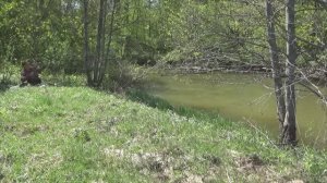 Рыбалка 28 апреля на поплавок на малой реке - поучительная рыбалка