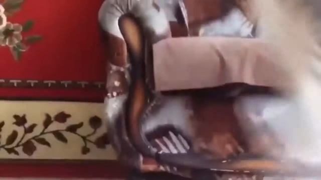 Улетное Видео Приколы Ржач. смотреть онлайн