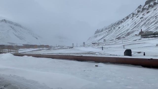 Шпіцберген / Svalbard 2019