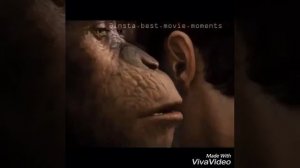 Планета обезьяны  приколы