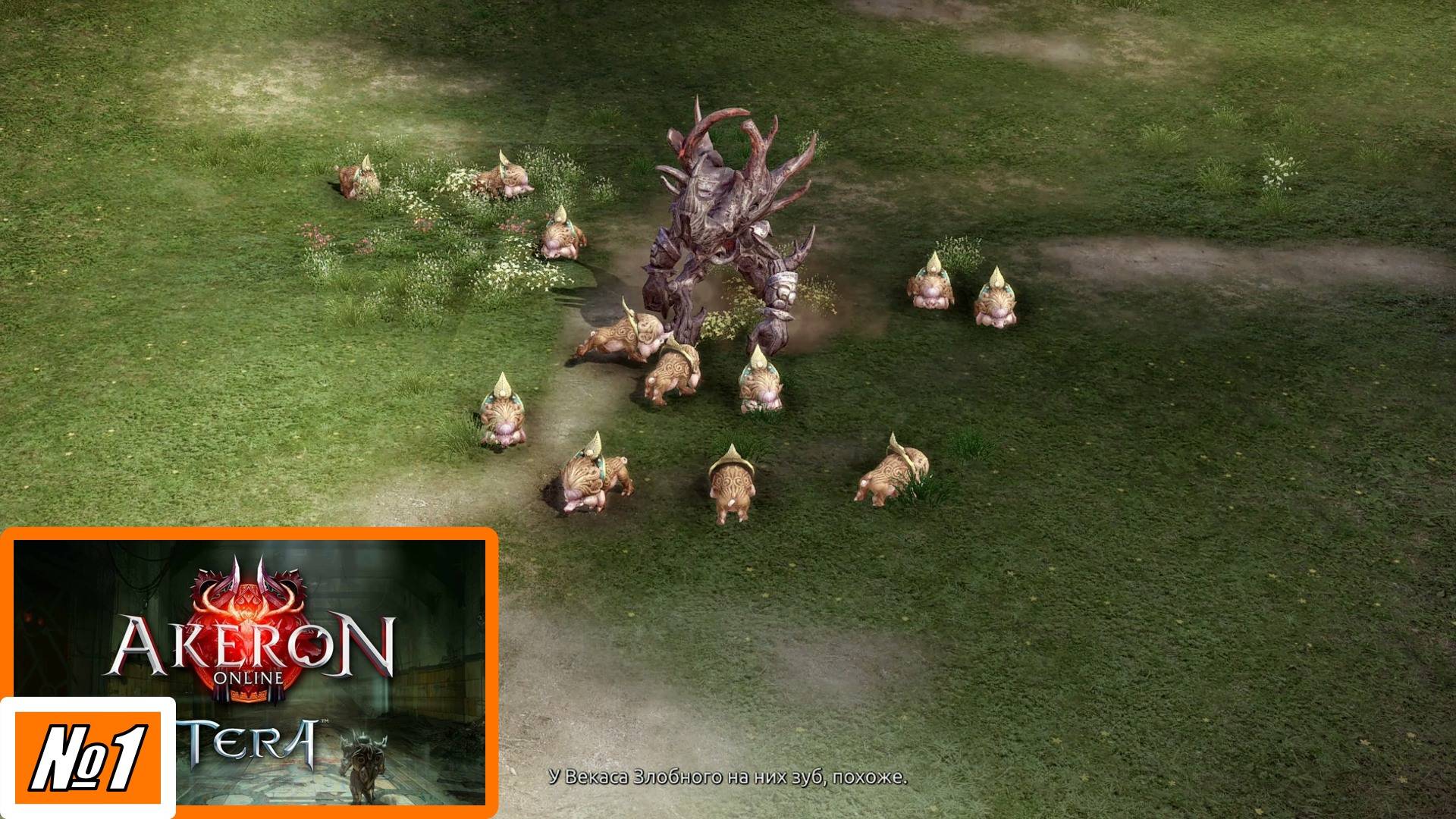 [Летсплей][Игра №1][Класс Рыцарь] Агрессивное дерево - Akeron Tera Online