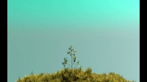 Growing tree 3d animation. GrowFX. Анимация растущего дерева