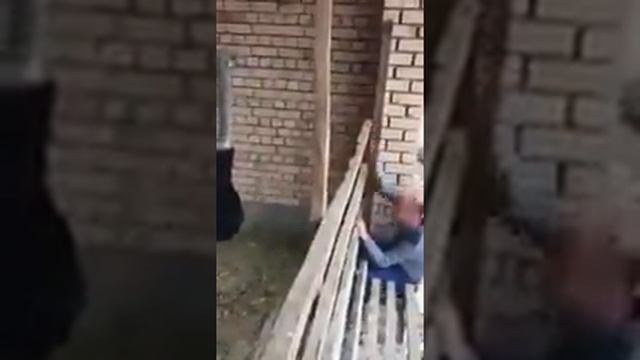 Мужик и страус прикол