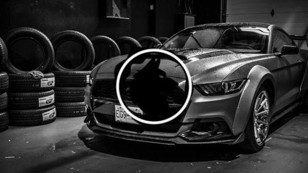 🔊💥ҚАП ҚАРА ШЫМКЕНТ (REMIX)💥🎧 🔥TOP TRACK🔥❤ (MUSTRACK)❤🎶🇰🇿