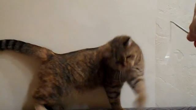 Упражнения Ромашки))) смотреть онлайн