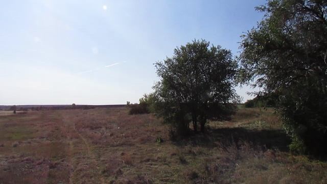 Исчезнувшее село Казаковка, Базарно-Карабулакский район (панорама).