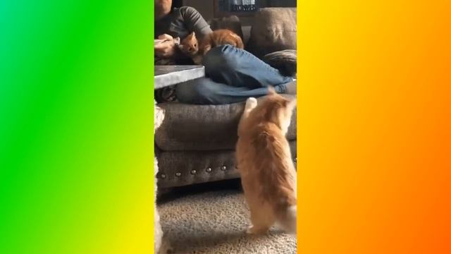 Улыбнитесь Создай себе хорошее настроение смотреть онлайн