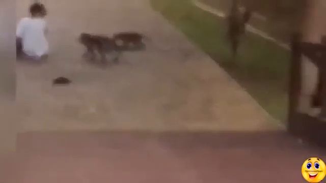 Ржачные приколы funny video подпорка 39 нелепости стихии сентябрь 2017 смотреть онлайн