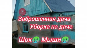 Заброшенная дача. Уборка на даче. Мыши 🤢
