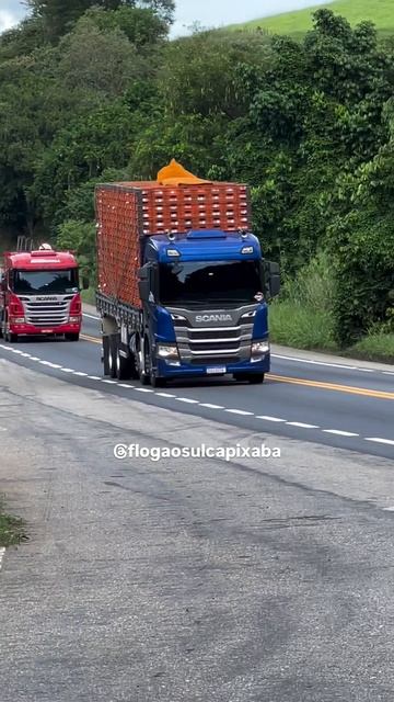 Бразильский дальнобой