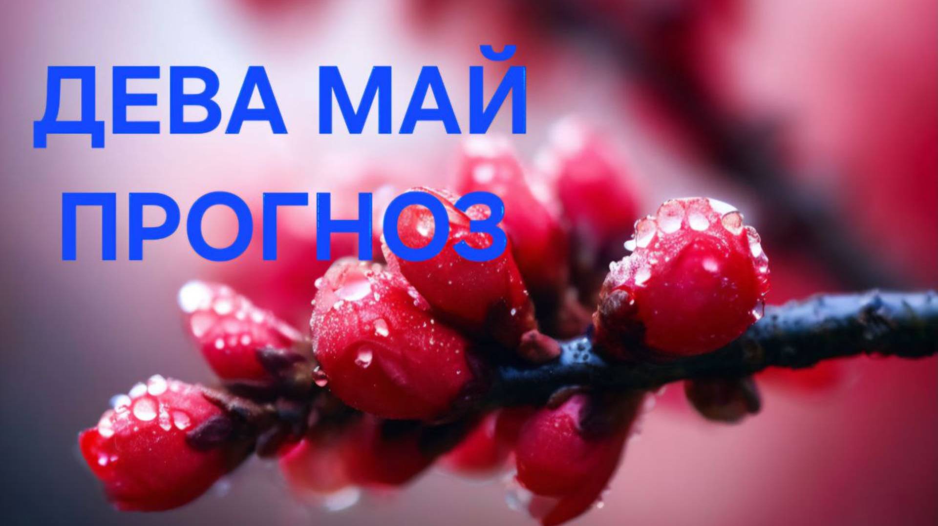 ДЕВА.ТАРО ПРОГНОЗ НА МАЙ